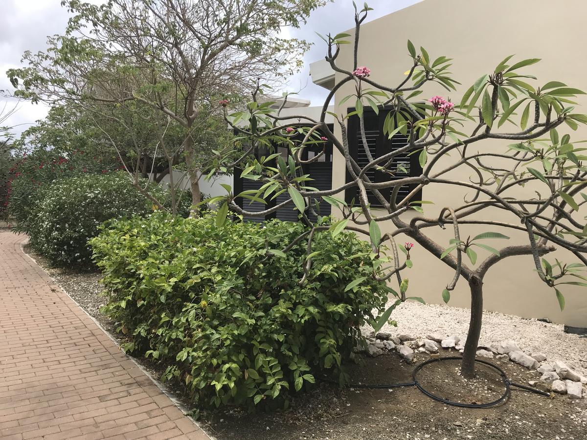 Blue Bay Resort Garden Sint Michiel Exterior photo